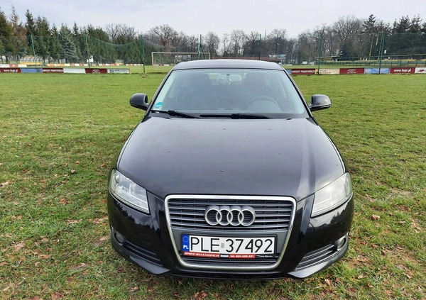 Audi A3 cena 25700 przebieg: 204800, rok produkcji 2009 z Tychy małe 37